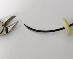 画像7: トーホー/本牛革レザー紐(1m)