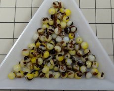 画像2: チェコガラスビーズ/ラウンド/チョコバナナ/約4mm(45個) (2)