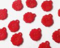 ヴィンテージ/ドイツ/プラスチック/フラワーチャーム/レッド(4個)