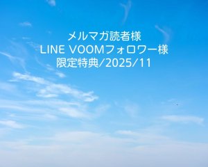 画像1: 限定特典/2025/11(ブルーカラーガラスパーツミックス)