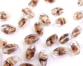 チェコガラスビーズ/ツイスト/約13×8mm/クリア×ブラウンストライプ(2個）