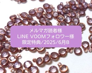 画像1: 限定特典/2025/6月B(ヴィンテージガラスパーツ20個)