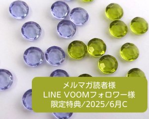 画像1: 限定特典/2025/6月C(ヴィンテージガラスストーン2色各2個)