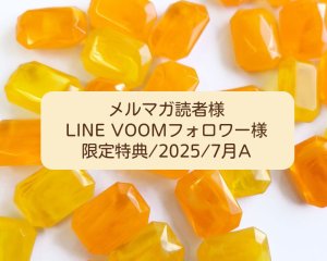 画像1: 限定特典/2025/7月B(ヴィンテージアクリルストーン)