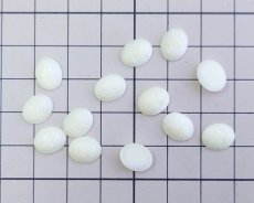 画像2: ns368/ヴィンテージ/ドイツ/ガラスカボション/プチサイズ/ウランガラス（1個） (2)