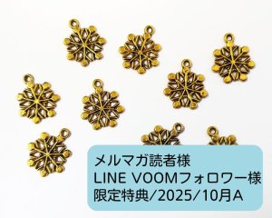 画像1: 限定特典/2025/10月A(スノーフレークチャーム2個)