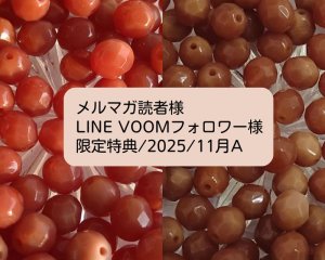 画像1: 限定特典/2025/11月A(8mmFP6個)