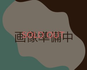 画像1: ヴィンテージ/ドイツ/プラスチック/スパイラルチューブ/クリアグリーン(2個)