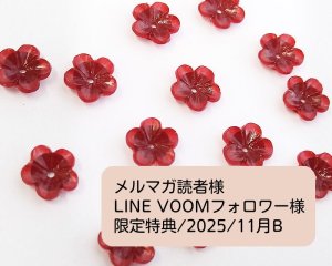 画像1: 限定特典/2025/11月B(ヴィンテージフラワー4個)