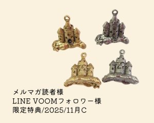 画像1: 限定特典/2025/11月C/ピューターチャーム