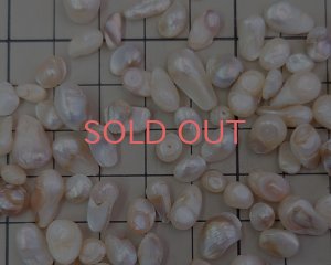 画像2: 淡水パールミックス・ロットB(5g)