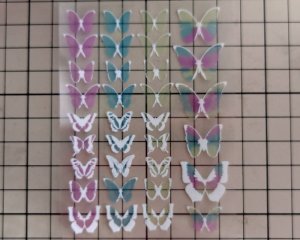 画像2: 蛍光シート・蝶/A7（1枚）