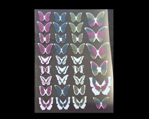 画像1: 蛍光シート・蝶/A7（1枚）