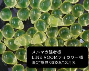 画像1: 限定特典/2025/12月B/チェコウランガラスドロップ(2個)