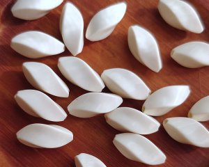 画像1: ヴィンテージ/日本/プラスチック/ツイスト/アイボリー（10個）