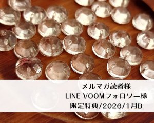 画像1: 限定特典/2026/1月B/ドイツヴィンテージソウオンガラス(4個)