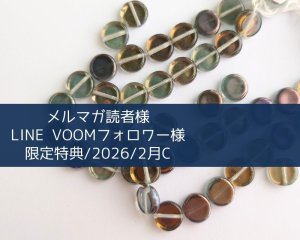 画像1: 限定特典/2026/2月C/チェココイン(4個)