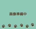 チェコガラスビーズ/レクタングル/ブラックピカソ（4個）