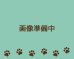 画像1: SUS316サージカルステンレス四つ爪ピアス（１ペア） (1)