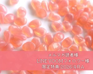 画像1: 限定特典/2026/4月A/チェコビーズ（12個）