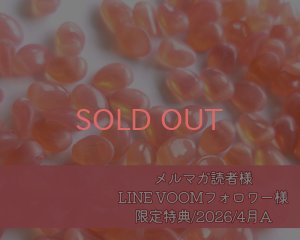 画像1: 限定特典/2026/4月A/チェコビーズ（12個）