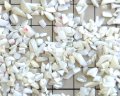 マザーオブパールのかけら・S（25g）