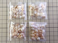 画像3: 淡水パールミックス(10g) (3)