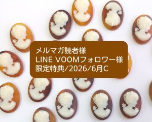 画像1: 限定特典/2026/6月C/ヴィンテージカメオ1個