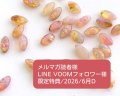 限定特典/2026/6月D/ヴィンテージストーン2個