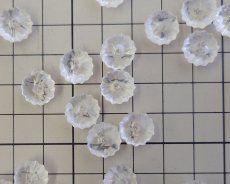 画像2: デッドストック/日本/プラスチック/フルーテッドロンデル/約12mm(2個) (2)