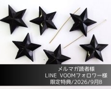 画像1: 限定特典/2026/9月B/星型ビーズ2個 (1)