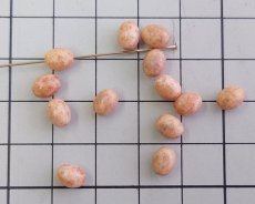画像2: ヴィンテージ/日本/プラスチック/オーバル/ダスターベージュ(8個） (2)