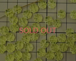 画像2: チェコガラスビーズ/パフフラワー/ウラニウムイエロー（6個）