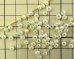 画像3: デッドストック/ガラスビーズ/ボタンカット/ミルキーオーロラ/約4mm(約100個) (3)