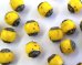 画像2: チェコガラスビーズ/アンティークスタイルオクタゴナル/ダブルフェイス/オペークイエローピカソ/6mm（10個） (2)
