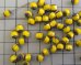 画像3: チェコガラスビーズ/アンティークスタイルオクタゴナル/ダブルフェイス/オペークイエローピカソ/6mm（10個） (3)