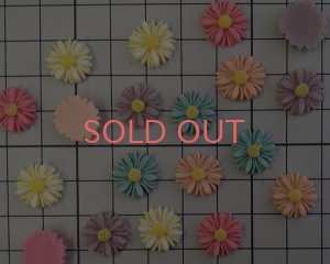 画像2: フラワーカボション/デイジー/5色セット