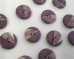 画像1: デッドストック/日本/プラスチックボタン/ラメライン/パープル/15mm(1個) (1)