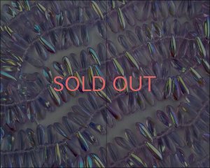 画像1: チェコガラスビーズ/ダガー/アレキサンドライト/オーロラ/3×10mm（20個）