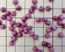 画像2: ns211/ヴィンテージ/ドイツ/ガラスカボション/ミニコーン/いちごチョコ（1個） (2)
