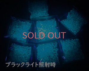 画像5: 蓄光シードビーズ/丸大サイズ（C） 売り切りSALE 50%OFF