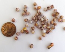 画像2: チェコガラスビーズ/バロック/イエローオレンジブラウンマーブル/約6mm(10個) (2)