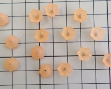 画像3: ヴィンテージ/ドイツ/ルーサイト/カップフラワー/フロストオレンジ（2個） (3)