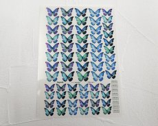 画像1: レジン封入シート/Morpho・L/A6 (1)