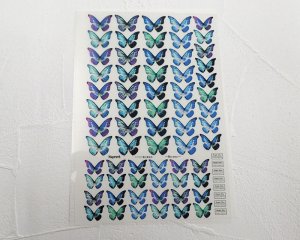 画像1: レジン封入シート/Morpho・L/A6