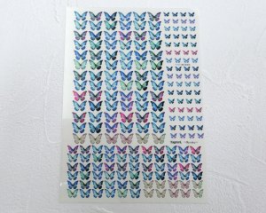 画像1: レジン封入シート/Morpho・S/A6