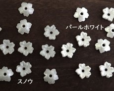 画像2: ヴィンテージ/ドイツ/プラスチック/フラワーG/スノウ（2個） (2)