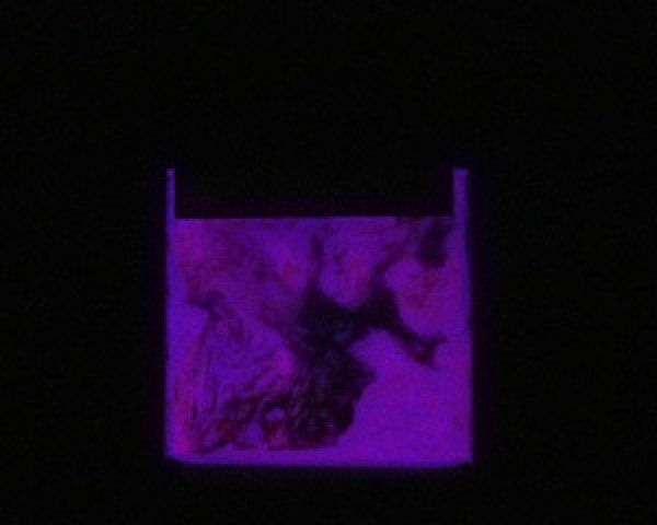 画像2: ピカエース/蓄光顔料トワイライト/ラベンダー (2)