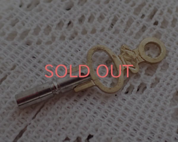 画像2: ウォッチキー/1本 (2)