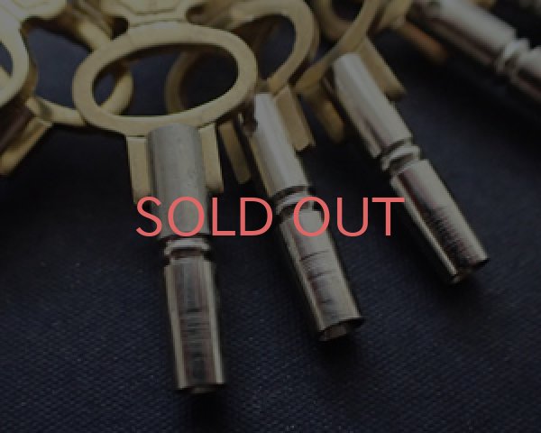 画像3: ウォッチキー/1本 (3)